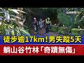 徒步逾17km！男失蹤5天 躺山谷竹林「奇蹟無傷」