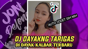 DAYAKNG TARIGAS - DJ REMIX LAGU DAYAK TERPANAS PADA MASANYA