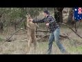 Man fights kangaroo aussie dude punches kangaroo in the face after it attacks his dog  tomonews