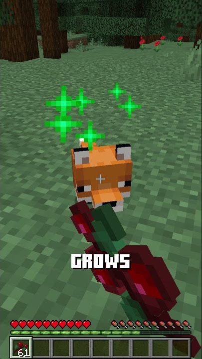 You can TAME Foxes