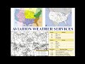 Private Pilot Tutorial 12: Aviation Weather Services