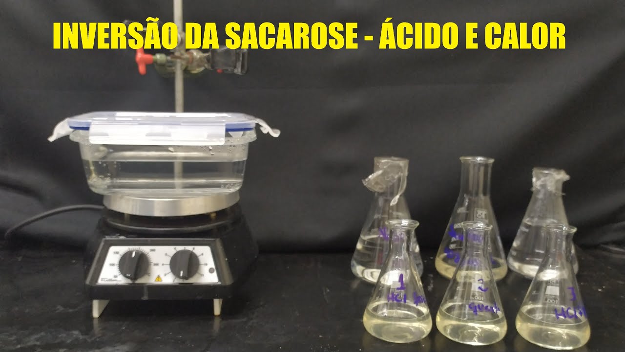 Reação de Hidrólise da sacarose em glicose e frutose - catálise e temperatura