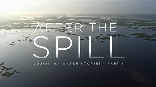 Bullfrog Films presents...AFTER THE SPILL