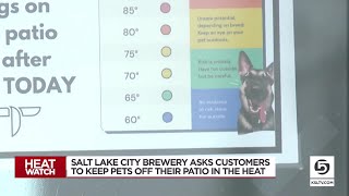 Salt Lake City brewery asks customers to keep pets off the patio in the heat