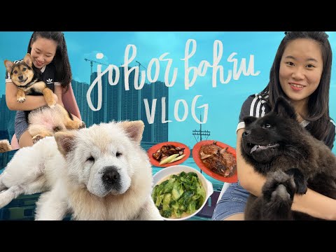 johor bahru vlog (chow q dog cafe, ksl night market) | singapore to jb vlog
