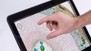 Precipoint M8 Digital Microscope & Scanner