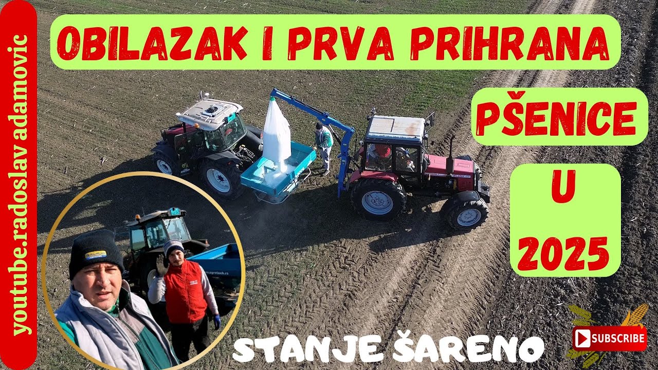 OBILAZAK I PRVA PRIHRANA PŠENICE U 2025: STANJE OČEKIVANO ; FIRST FERTILIZER OF WHEAT IN 2025