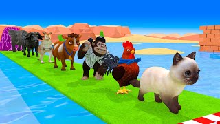 Paint Animals Cow Cat Buffalo Lion Dog Tiger Gorrila Kangaroo Elephant Fountain Crossing Animals by H2H Animals 3D 34,948 views 1 month ago 2 hours, 5 minutes