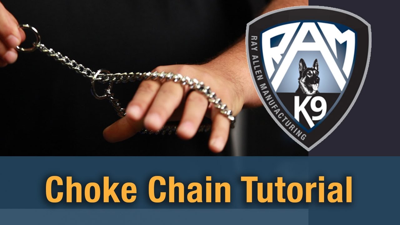 How To Put A Choke Chain On A Dog - Live Demonstration