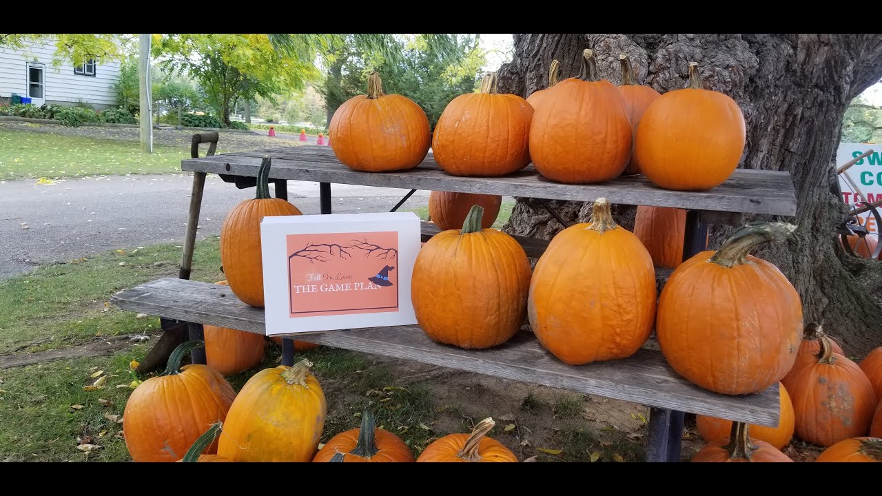 Our visit to the Warner Ranch Pumpkin Patch YouTube