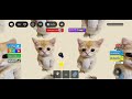Obby do ay mi gatito