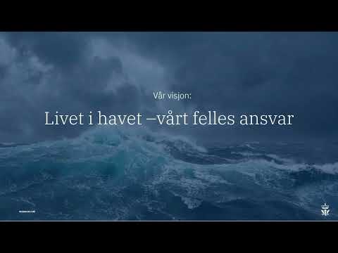 Video: Miljøovervåking: hva er det og hvordan utføres det