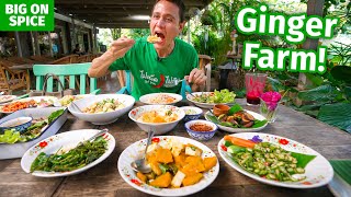 Thai Food Farm  9 Dishes at Ginger Farm in Chiang Mai, Thailand!!