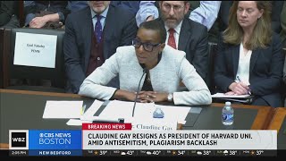 Harvard president Claudine Gay's resigns amid antisemitism, plagiarism backlash