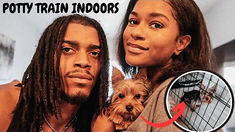HOW WE INDOOR POTTY TRAINED OUR PUPPY FAST & EASY!