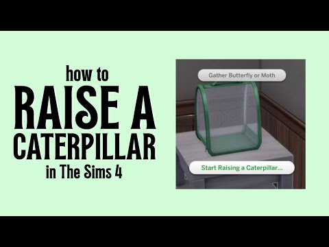 How To Raise Caterpillars In The Sims 4: Adventure Awaits 🐛