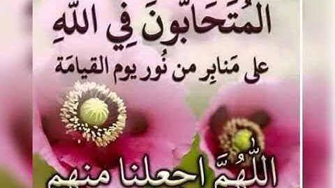 تلاوة بصوت اخوكم صالح الحماد