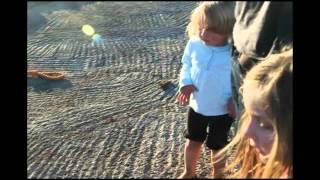 Crab Adventure Port Ballintrae