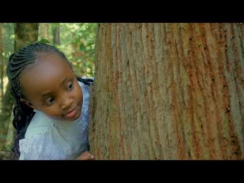 ALMOND SIJIWEZI  OFFICIAL VIDEO