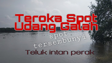 Teroka spot udang galah | Teluk intan perak |