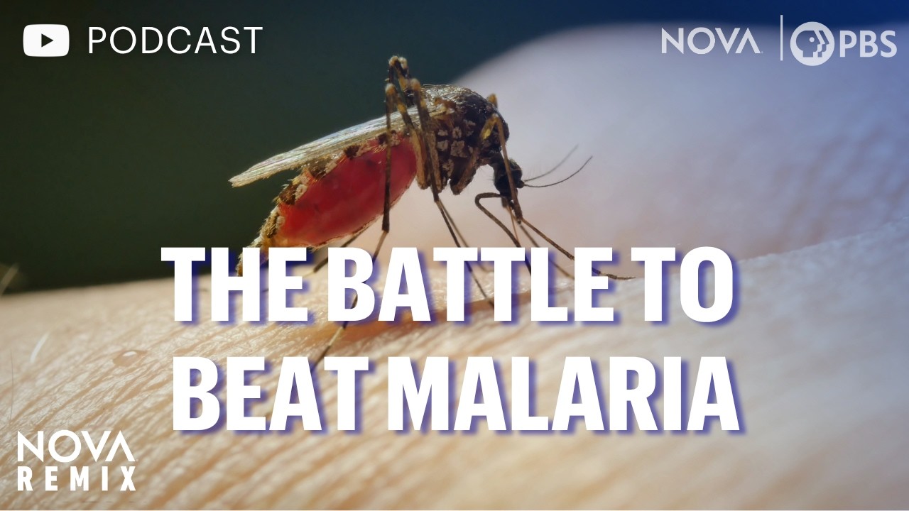 (Podcast Version) The Battle to Beat Malaria | NOVA Remix | NOVA | PBS