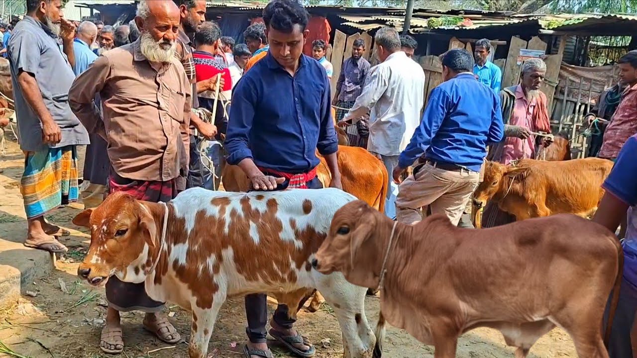 @আজ ২৮ ফেব্রুয়ারী