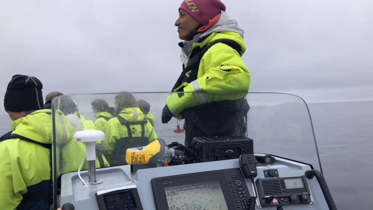 Andenes whale Safari