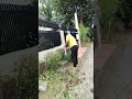 Landscaping  Maintenance Work Services