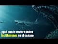 ¿Qué pasa si todos los tiburones desaparecieran?