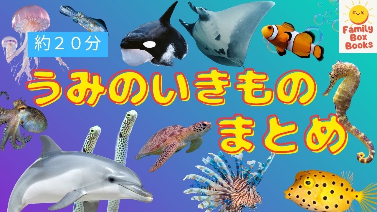 海の生き物大集合！🌊 約20分まとめ｜クジラ・イルカ・サメ・クラゲなど【子ども向け知育図鑑】