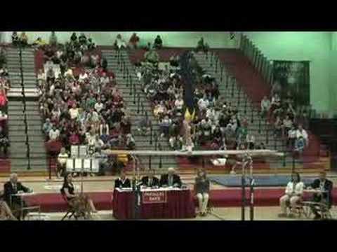 2008-ihsa-boys--gymnastics-sta