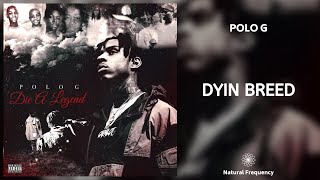 Polo G - Dyin Breed (432Hz)