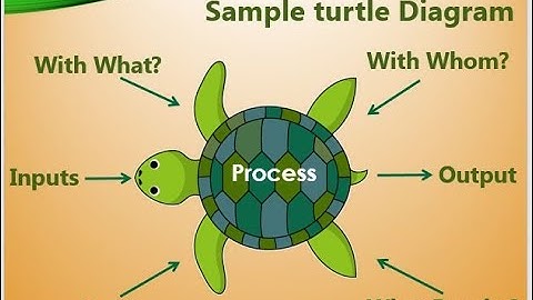 Turtle Diagram process mapping in English