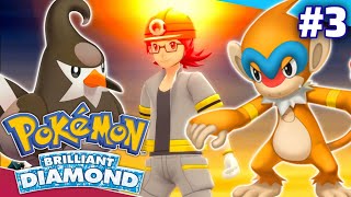 Three Evolution in Same Time🔥| Pokemon Brilliant Diamond Gameplay EP03 In Hindi