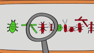 What is biological control? by BIOCOMES EU Project 44,497 views 7 years ago 2 minutes, 29 seconds