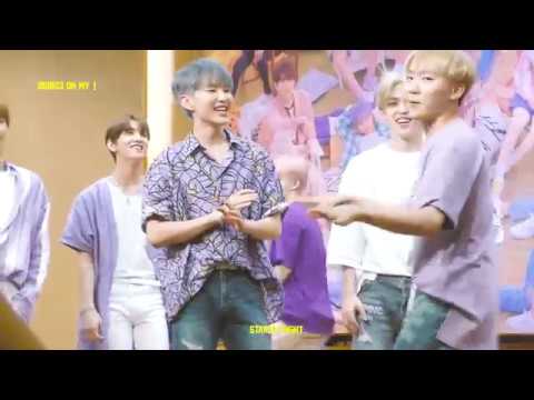 180803 팬싸인회 seventeen 세븐틴 어쩌나 (oh, my!) 2배속 호시 직캠