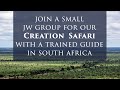 Safari virtuel de cration en afrique  bible tours