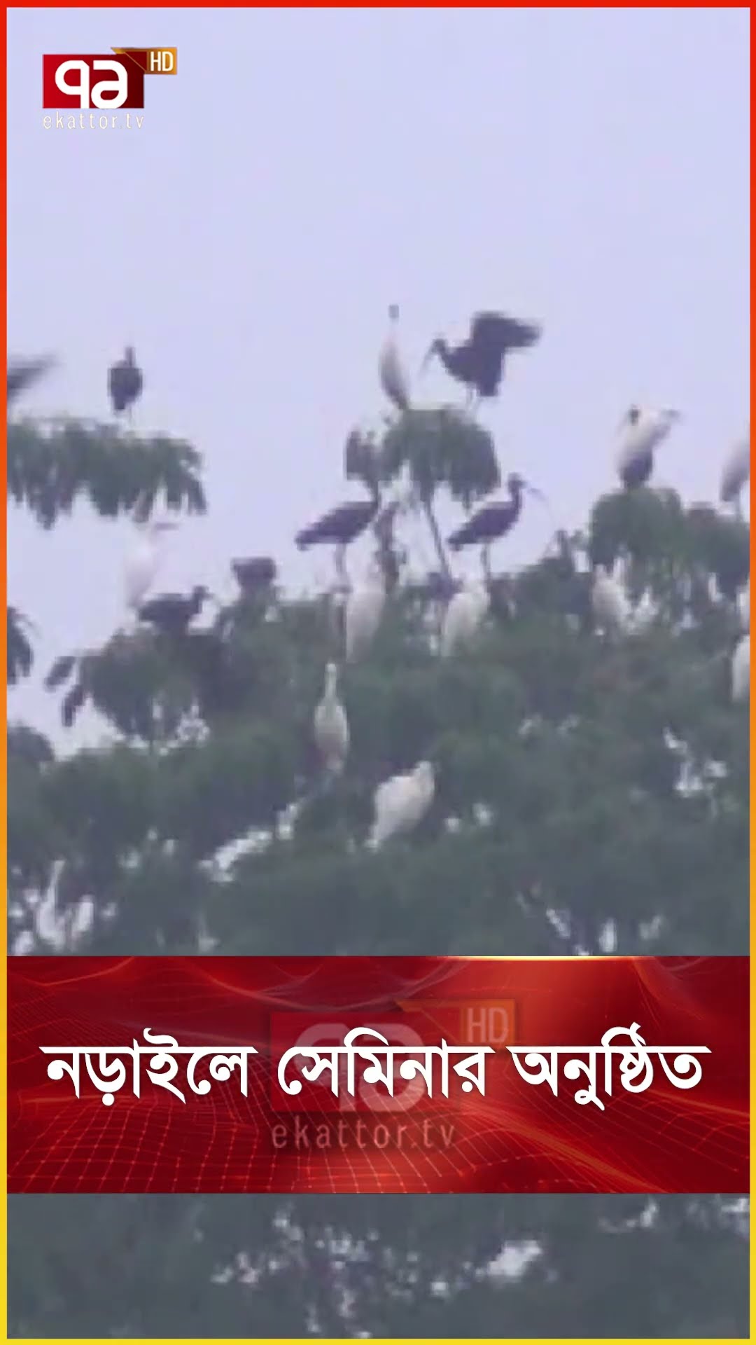 নড়াইলে সেমিনার অনুষ্ঠিত