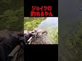 【足元をジョイクロで】バス釣り