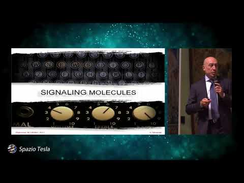 Video: Proprietà Immunoregolatorie Delle Cellule Dendritiche Derivate Dai Monociti Condizionate Dalla Rapamicina E Loro Ruolo Nel Trapianto