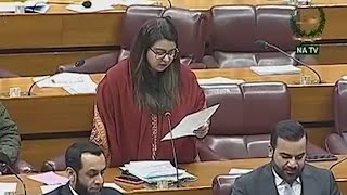 Digital Nation Pakistan Bill tabled in National Assembly