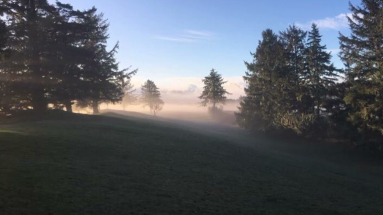 Algonquin drive soundtrack(17) YouTube