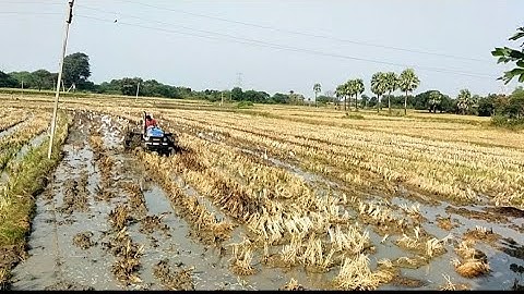 Sonalika Di42 Tractor Cultivating Video in my Village || SRIKANTH PS