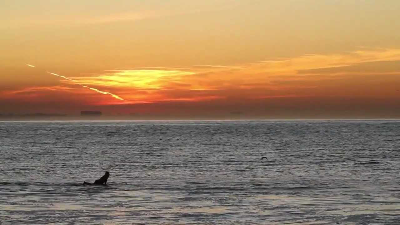 Topanga Beach Surfing Sunrise YouTube