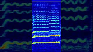 Spectrogram of a singer!