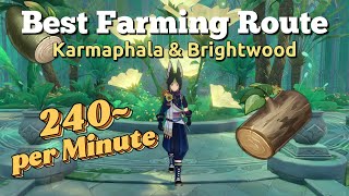 Karmaphala U0026 Brightwood Farming Location  Genshin Impact Guide