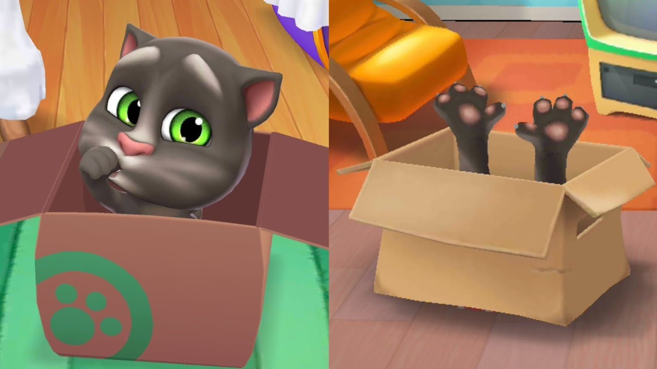 Baby Talking Tom-2 Vs Baby Talking Tom-1 