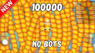 100000 score in Snake.io Best snake gameplay. No bots