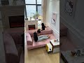 狭い部屋も広々 瞬時に変身する多機能ソファベッド🌸 #インテリア