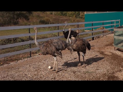 Туристический рецепт. Абдулинский район